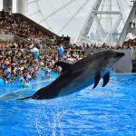名古屋港水族館