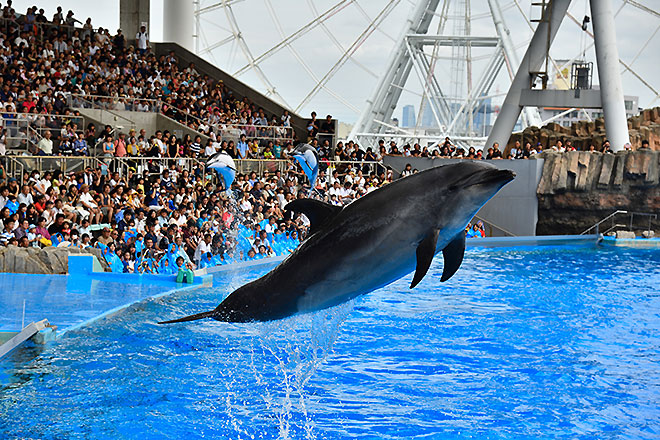 名古屋港水族館