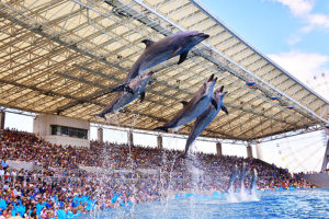 名古屋港水族館