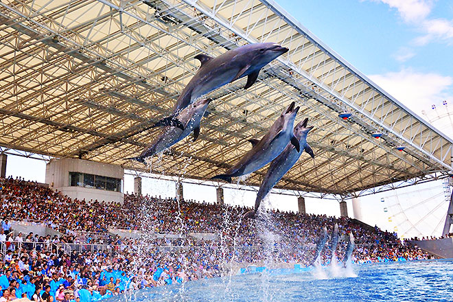 名古屋港水族館