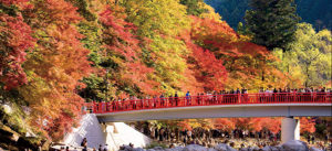 香嵐渓のシンボル的存在 待月橋