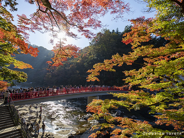 「香嵐渓」紅葉過去画像