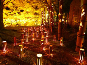 竹灯りの香積寺